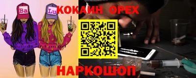 амф Сланцы