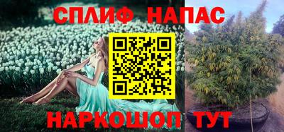 2c-b Славянск-на-Кубани