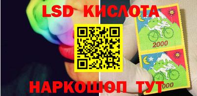амф Сланцы