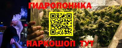 амф Сланцы