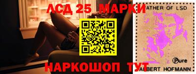 спайс Славгород
