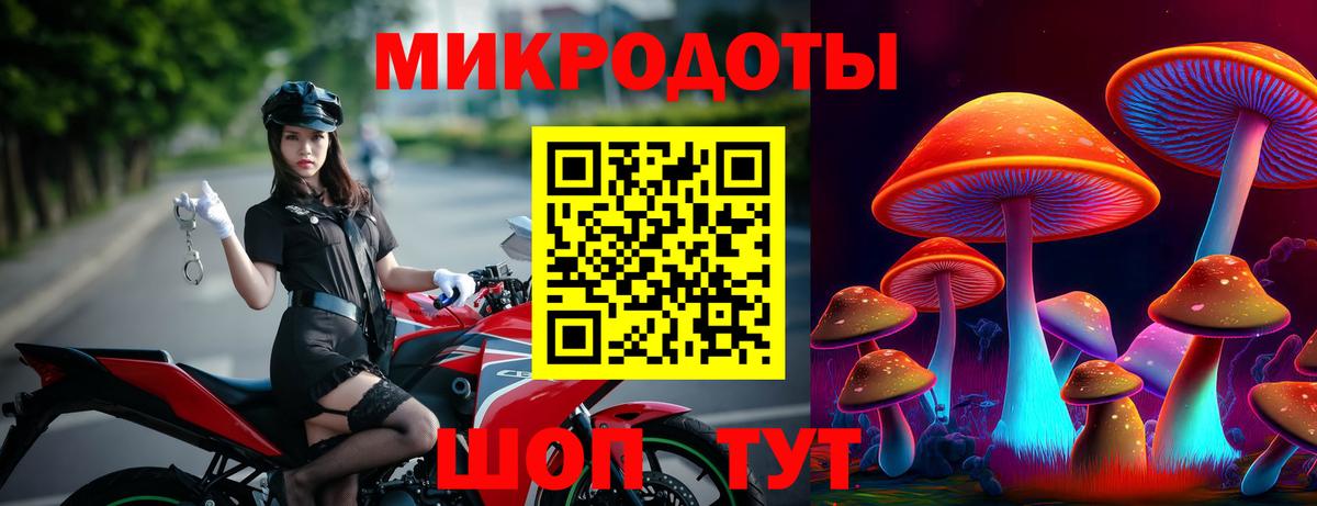Псилоцибиновые грибы Psilocybine cubensis  Вход с VPN  Оренбург  Галлюциногенные грибы мицелий 